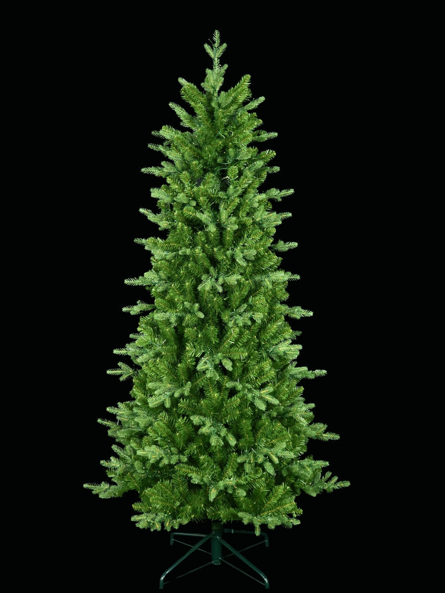 Alberta Slim Spruce 6.5'